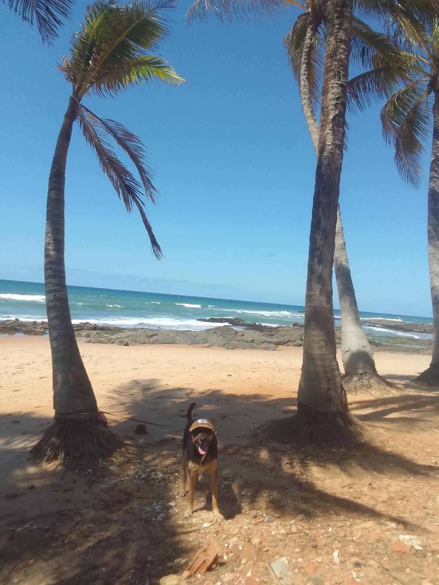 Apartamento Sol E Mar Salvador